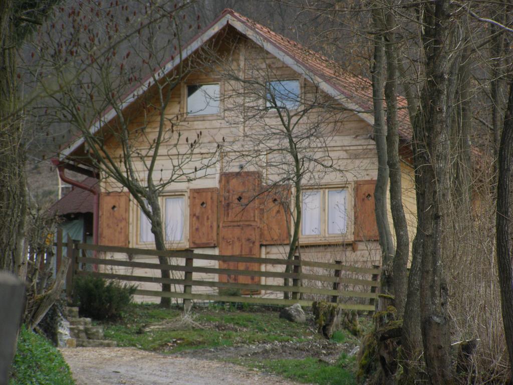 Guesthouse Kuzmanovic Guča Exterior foto