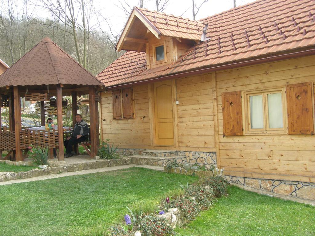 Guesthouse Kuzmanovic Guča Exterior foto