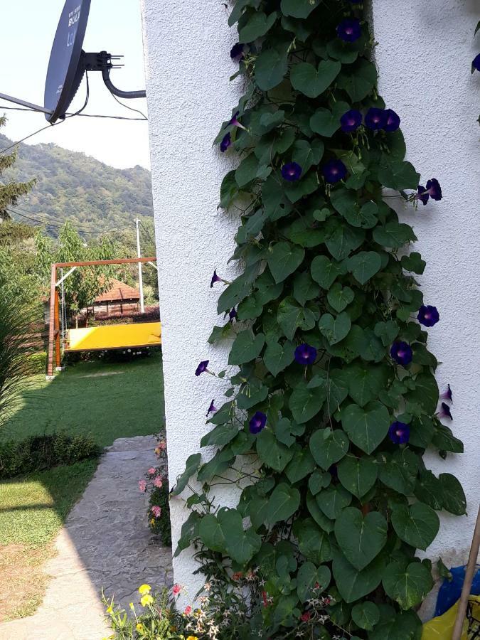 Guesthouse Kuzmanovic Guča Exterior foto